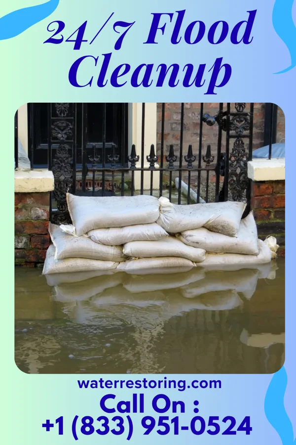 24/7 Flood Cleanup in West Danby, NY