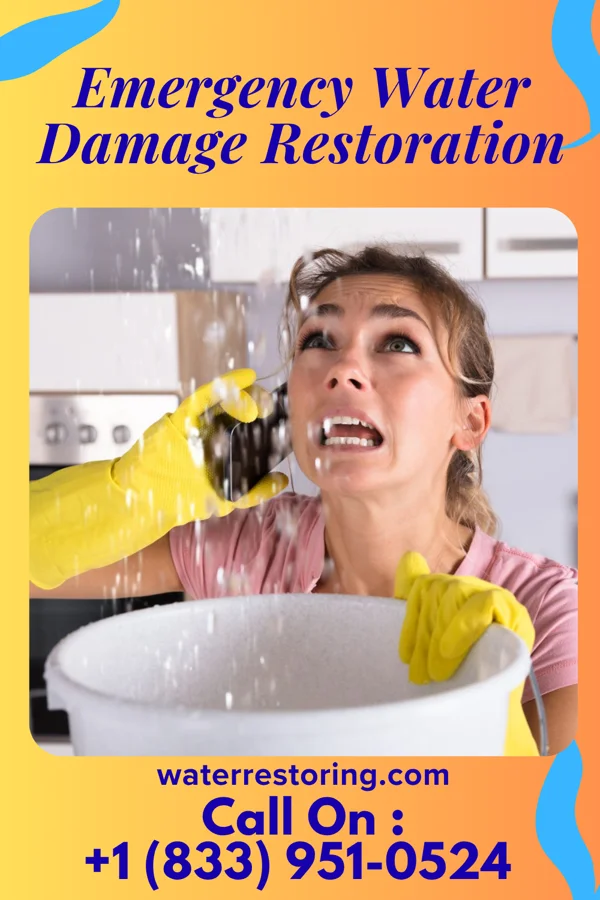 Emergency Water Damage Restoration in West Danby, NY