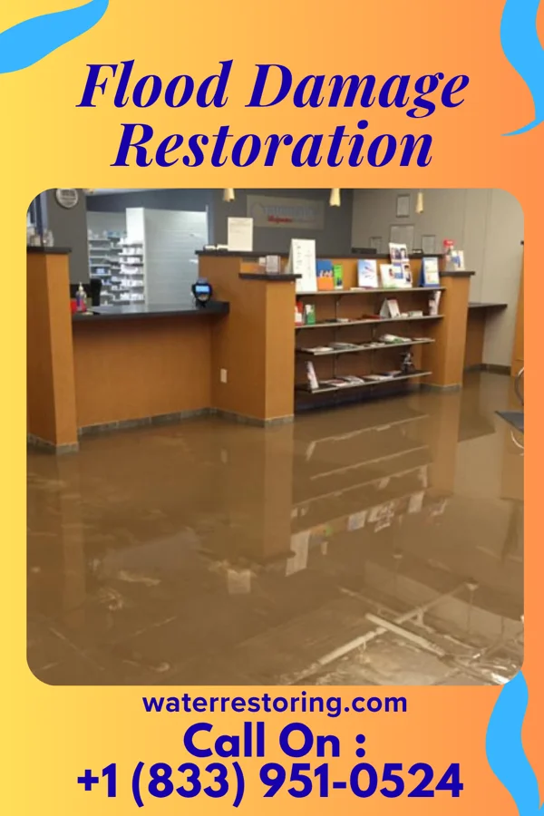 Flood Damage Restoration in West Danby, NY