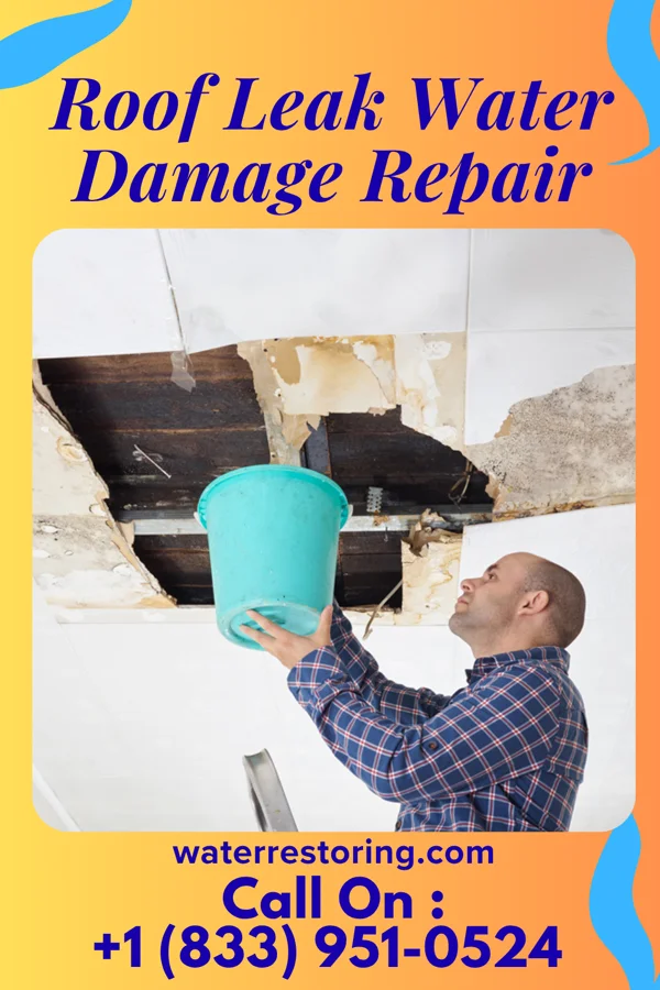 Roof Leak Water Damage Repair in West Danby, NY