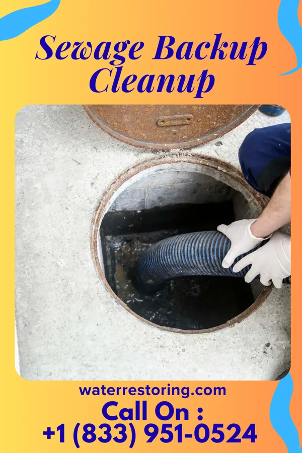 Sewage Backup Cleanup in West Danby, NY