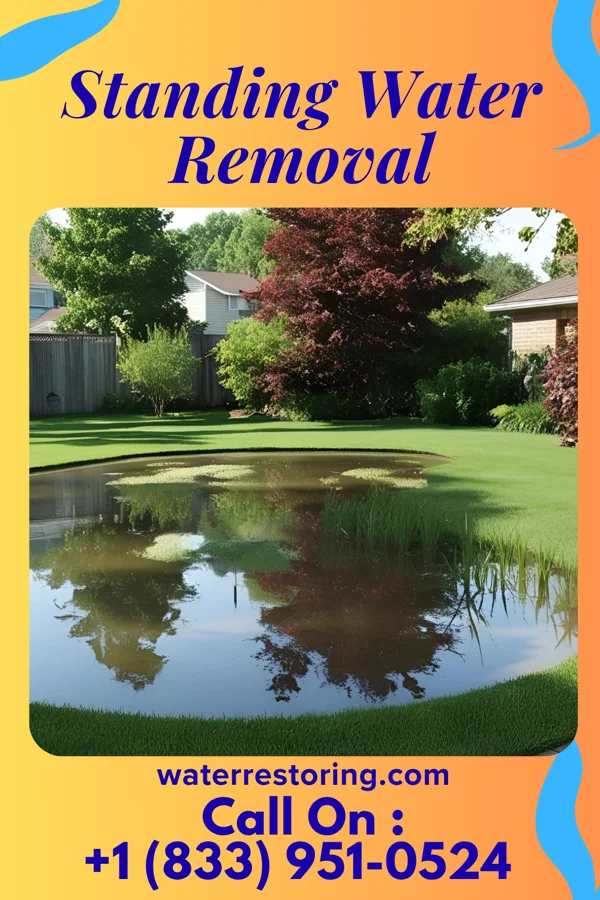 Standing Water Removal in West Danby, NY